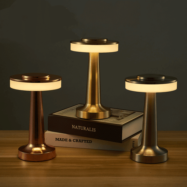 Ambient metalic cordless lamp